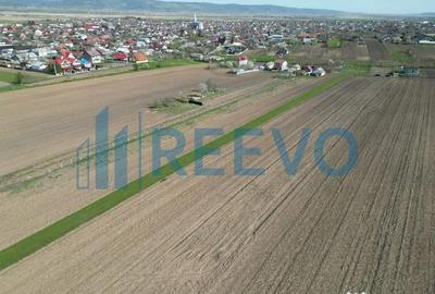 Teren de 10500 mp, în Nicolae Bălcescu - 10