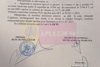 Teren de 16300 mp, în Adunații-Copăceni - 8