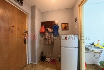Apartament cu 2 camere semidecomandat, mobilat în Drumul Taberei - 2