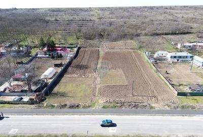 Teren Construcții intravilan de 5313 mp, în Odaia Manolache - 6