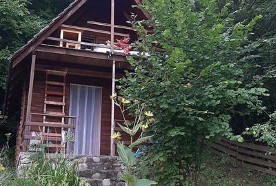 Casă cu 6 camere cu Teren 2700 Mp în Bradu - 1