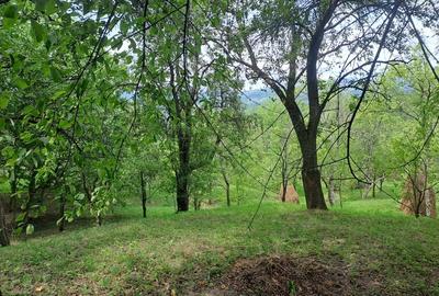 Teren în Șotrile - 6