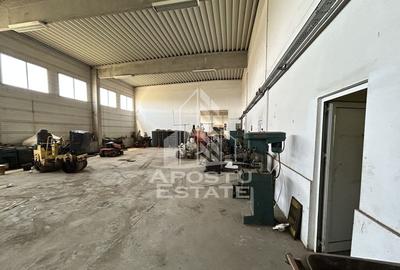 Hala de inchiriat 929 mp, C Aradului - aproape de Satimpe... - 3