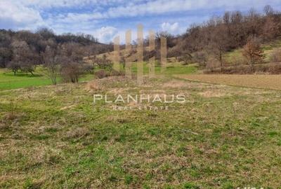Teren agricol intravilan de 2300 mp, în Cernești - 2