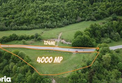 Teren de 4000 mp, în Babarunca - 7