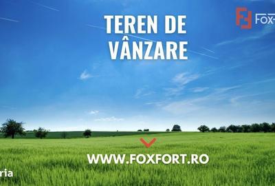 Spațiu comercial, în Teliucu Superior - 2