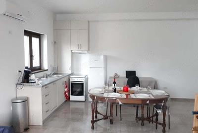 2 camere parter dumbravita investitie - 6