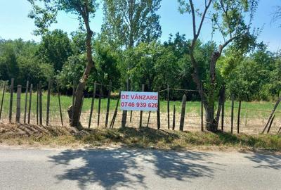 Spațiu comercial, în Băbeni - 6