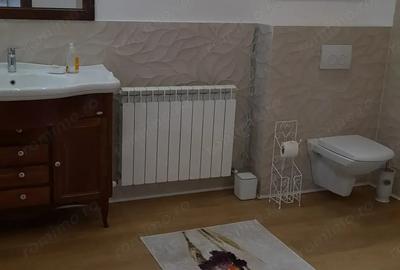 Vila deosebita, bun gust si calitate, 4 km de centrul orasului, reper-Gura Vaii - 6