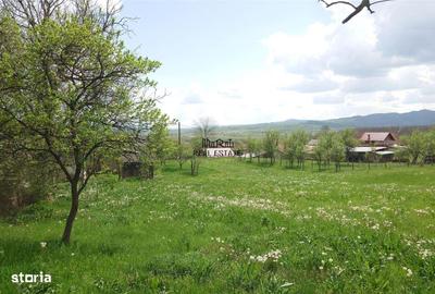 Casă cu 4 camere cu Teren 4977 Mp în Ribița - 3