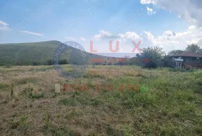 Teren de 750 mp, în Mineri - 1