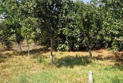 Casa spatioasa cu livada si teren 1.000 mp – Lumina, la 15 min de Constanta - 38