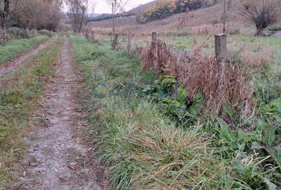 Teren plan 4800 mp cu casa demolabila, centru Corpadea, Apahida - 9