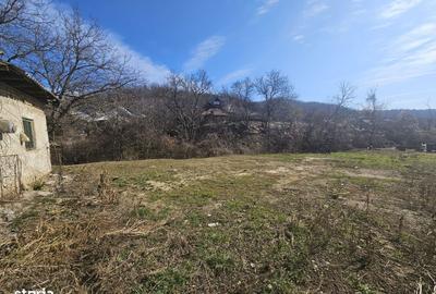 Spațiu comercial, în Ștefănești - 4