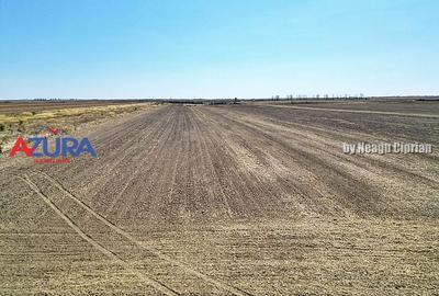 Teren agricol, 5HA, comasat, drum acces, Cateasca - 7