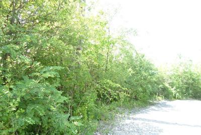 Teren intravilan in Boldesti Scaeni, Prahova, 7410 mp - 2