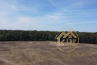 Pipera-Oxford-Padurea Baneasa, intravilan 3700mp Pipera-Oxford-Padurea Baneasa, intravilan 3700mp - 9