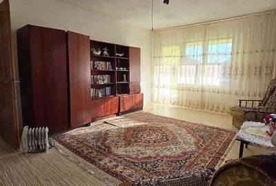 Casă cu 5 camere cu Teren 2763 Mp în Băița - 13