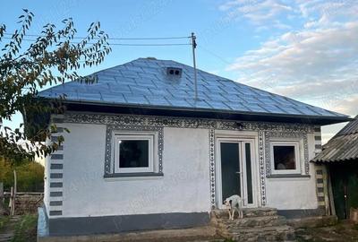 Casă cu 2 camere în Peceneaga - 4