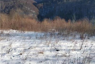 Teren Intravilan Sinaia 2255 mp - 4