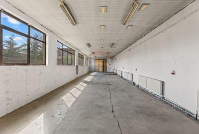 Spațiu industrial, de 150 mp, în Aradul Nou - 3