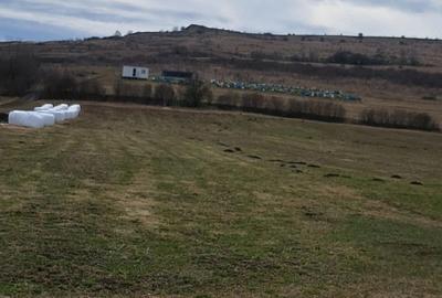 Casă cu 3 camere cu Teren 7400 Mp în Răscruci - 5