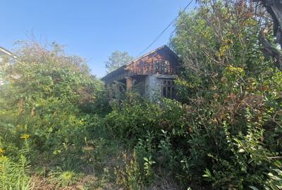 Cornetu stradal, vanzare teren intravilan 1.600mp Cornetu stradal, vanzare teren intravilan 1.600mp - 10