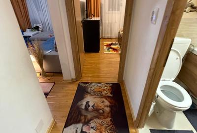 Apartament cu 3 camere semidecomandat, mobilat în Baba Novac - 4