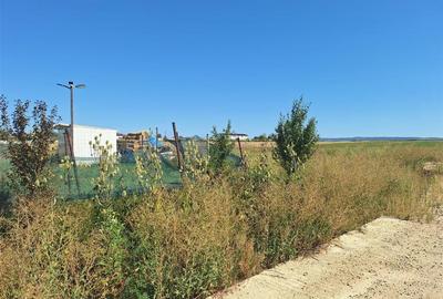 Teren Construcții intravilan de 728.17999267578 mp, în Oșorhei - 7