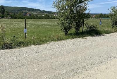 Teren de 1560 mp, în Central - 1