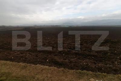 Teren de 21300 mp, în Central - 3