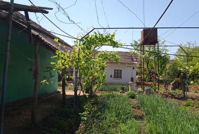 Casă cu 3 camere în Leu - 4