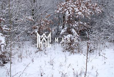 Teren Construcții intravilan de 1466 mp, în Exterior Est - 6