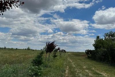 Teren de 768 mp, în Corbeanca
