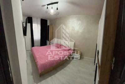 Apartament cu 2 camere, renovat,centrala proprie, zona Sagului - 4