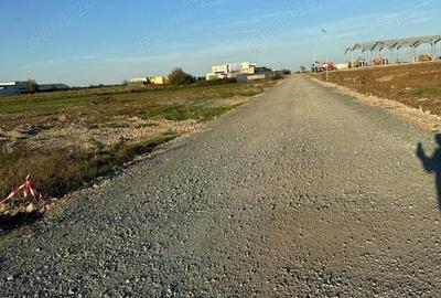 Teren de 600 mp, în Frumușani - 6