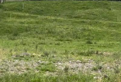 Teren de 5000 mp, în Central - 2