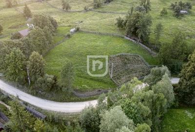 Teren intravilan 2.807mp Manastirea Humorului | Bucovina - 3