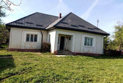 Loc. Basesti (jud. MM) casa de vanzare cu 8.000 mp teren - 4