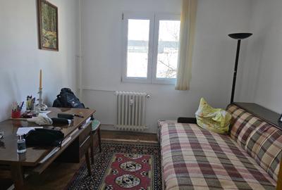 Titan, pe Liviu Rebreanu, farmacia Tei, 5 minute metrou si parc IOR, - 12