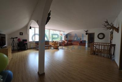 Cabana la munte Rucar / Satic - 18