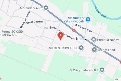 Teren agricol extravilan de 9500 mp, în Nanov