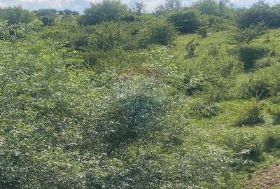 Teren de vanzare 8,700 mp Tarlungeni, comision 0 cumparator - 3