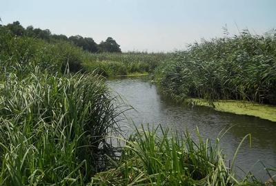 Vand loturi de 527 si 635 mp langa Delta Neajlovului la cel mai bun pret - 8