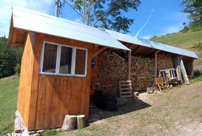 Teren de 56000 mp, în Arieșeni - 13