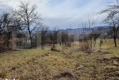 Teren de 770 mp, în Glod - 2