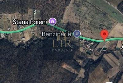 Teren de 1500 mp, în Schitu Duca - 4