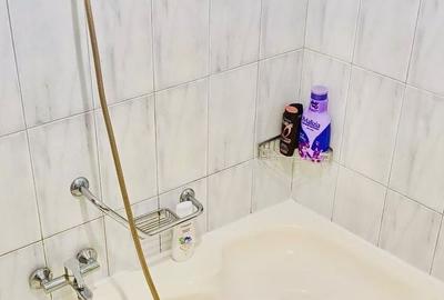 Inchiriere 2 Camere Parcul Carol - 5