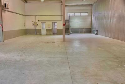 Spațiu comercial, de 450 mp, în Micălaca - 1