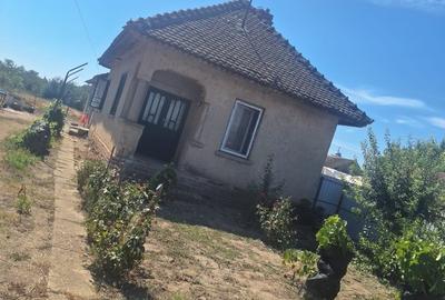 Seaca de Camp, jud. Dolj - 14